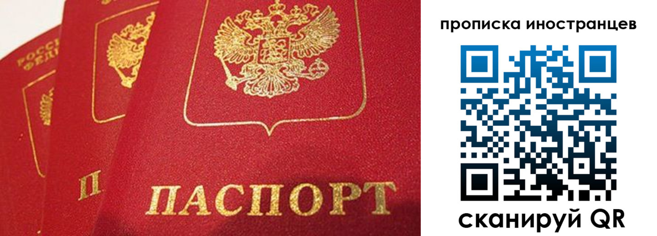 прописка поиск в Оренбургской области